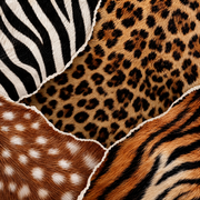 ANIMAL PRINT