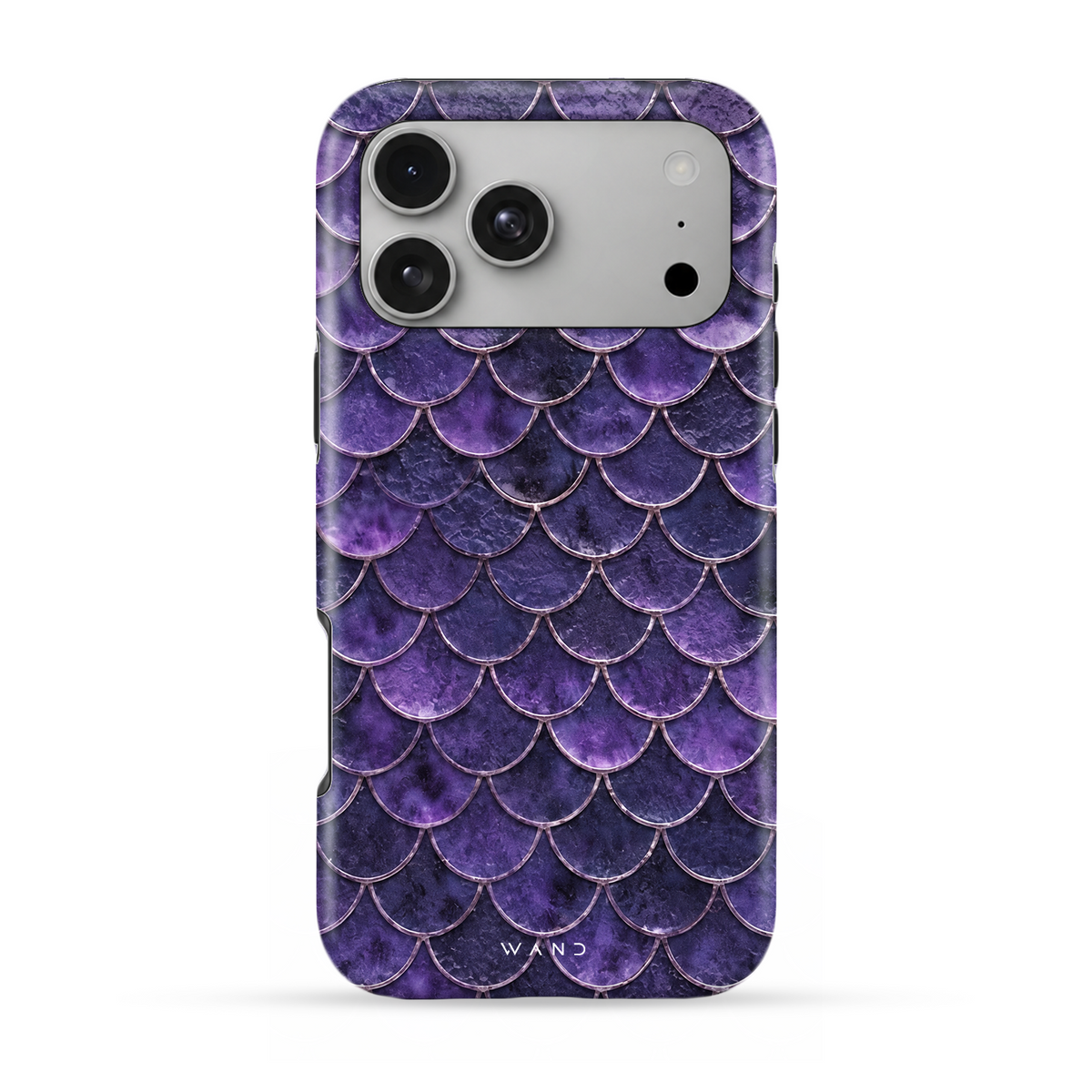 Violet Scallop