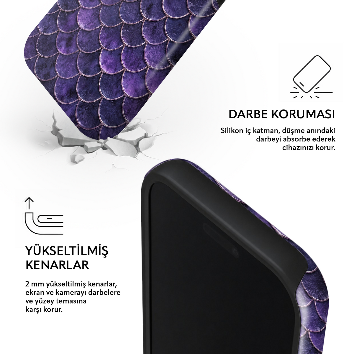 Violet Scallop