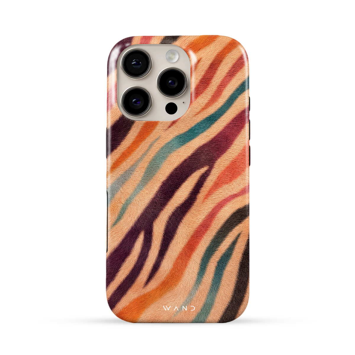 Rainbow Zebra
