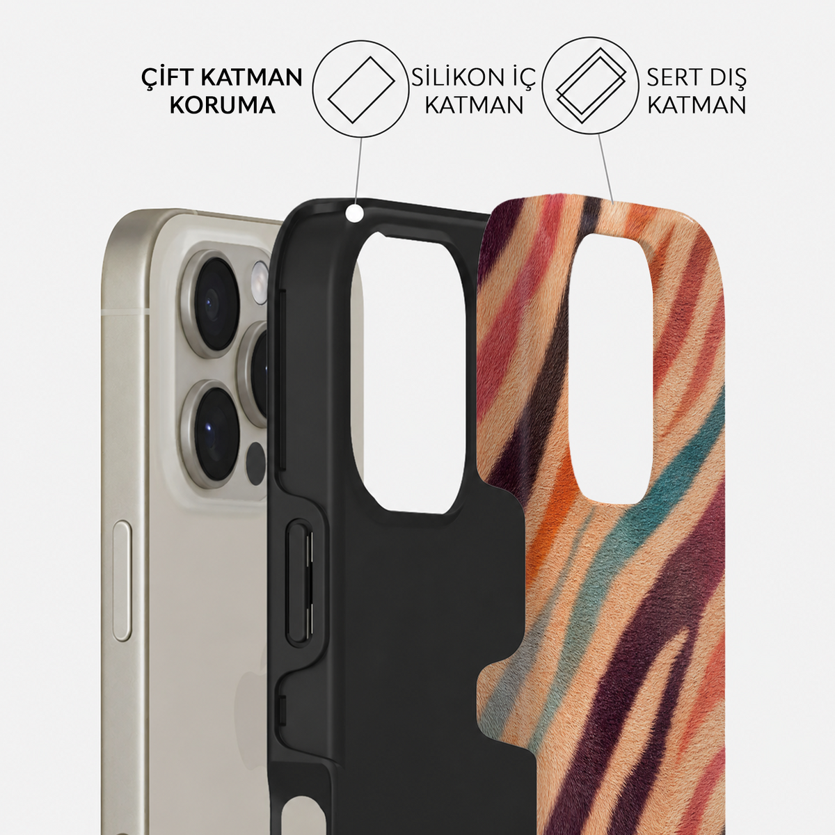 Rainbow Zebra