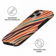 Rainbow Zebra