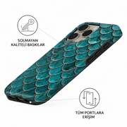 Teal Scallop
