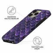 Violet Scallop