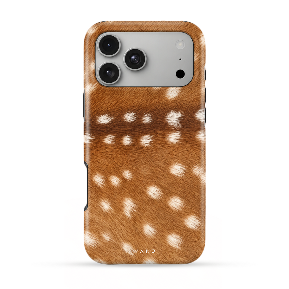 Fawn in Love