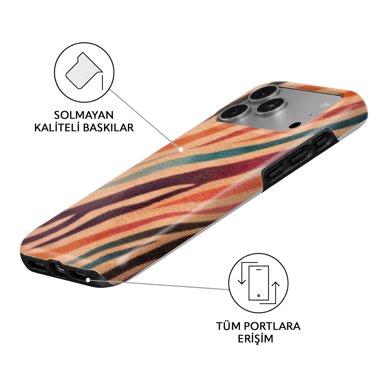 Rainbow Zebra