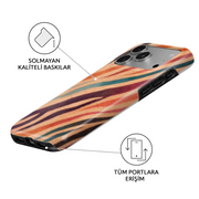 Rainbow Zebra